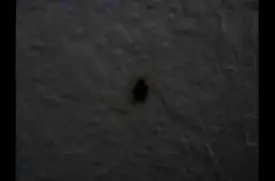 Pebble Brooke Apartments