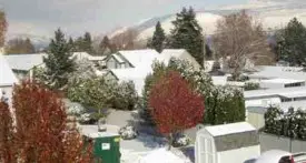 Maple Street Apartments