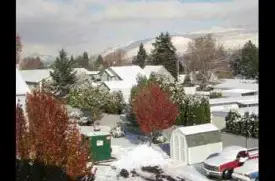 Maple Street Apartments