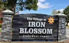 The Village At Iron Blossom