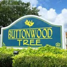 Buttonwood Tree Apts                              