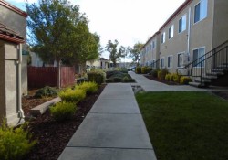 Section 8 For Rent in California