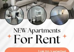 Section 8 For Rent in Nevada