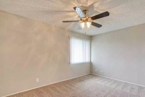 section 8 rental