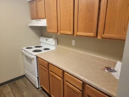 section 8 rental