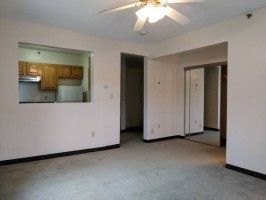 section 8 rental