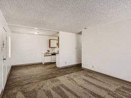 section 8 rental