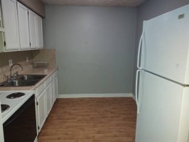 section 8 rental