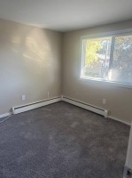 section 8 rental