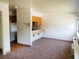 section 8 rental