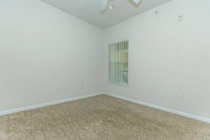 section 8 rental