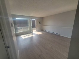 section 8 rental