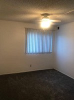 section 8 rental