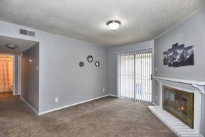 section 8 rental