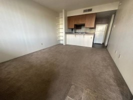section 8 rental