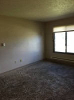 section 8 rental