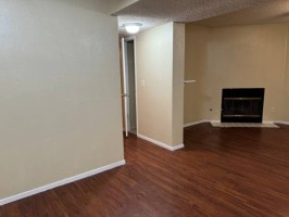 section 8 rental