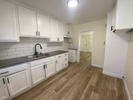 section 8 rental