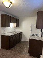 section 8 rental