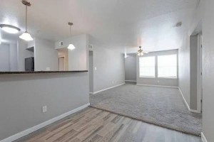 section 8 rental