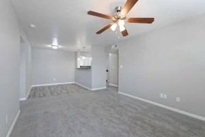 section 8 rental