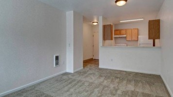 section 8 rental