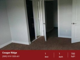 section 8 rental