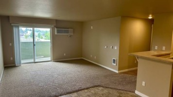 section 8 rental