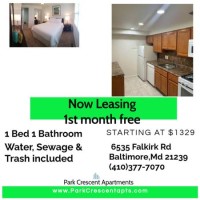 section 8 rental