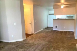 section 8 rental