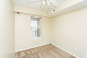 section 8 rental