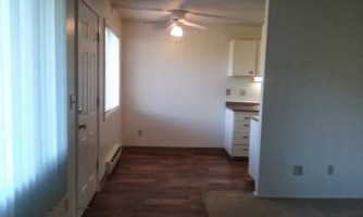 section 8 rental