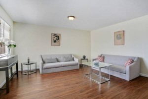 section 8 rental