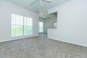 section 8 rental