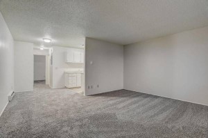 section 8 rental