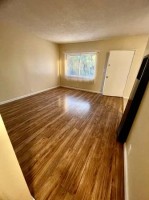 section 8 rental