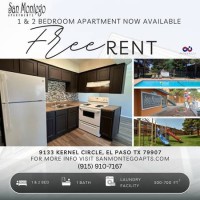 section 8 rental
