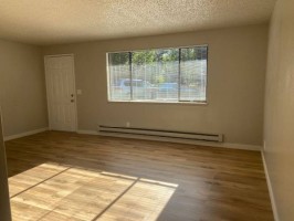 section 8 rental