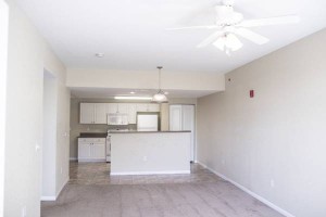 section 8 rental