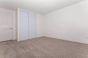 section 8 rental