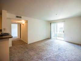 section 8 rental