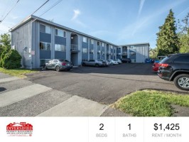section 8 rental