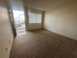 section 8 rental