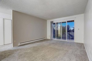 section 8 rental