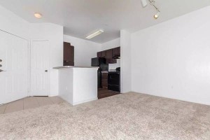 section 8 rental