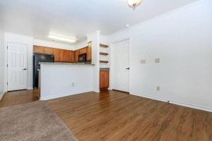 section 8 rental