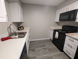 section 8 rental