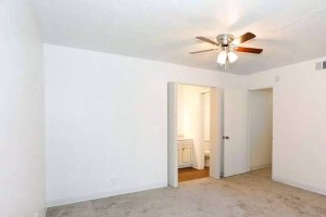 section 8 rental