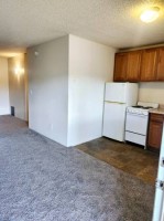 section 8 rental