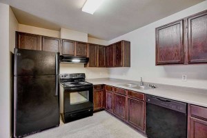 section 8 rental